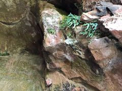 -浏阳石牛寨风景区