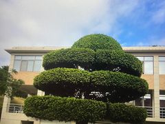-厦门国家会计学院
