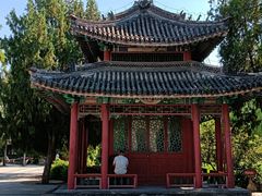 -莲池书院博物馆