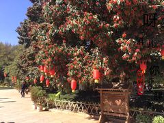 -云南民族大观园