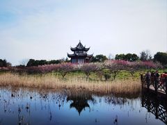 -上海海湾国家森林公园