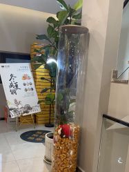 -阅年轻·AI家庭健康体质调理