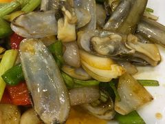 蛏子-阿静美食