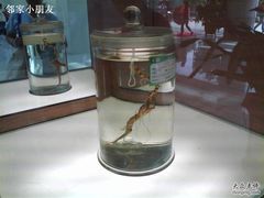 -广州中医药大学第一附属医院(总院)