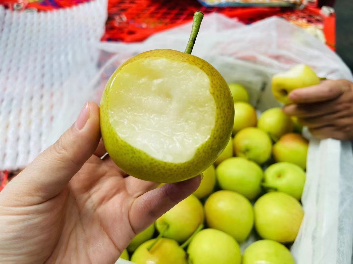 好吃又便宜的蜂蜜梨🍐 果肉细嫩无渣