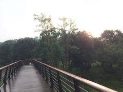 -炎帝陵景区