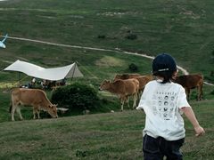 -大姆山草场