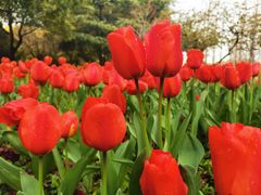 -中共上海市委党校 上海行政学院