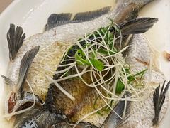 -四海酒家生态粤菜