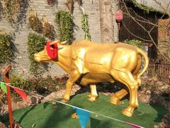 -合肥滨湖国家森林公园