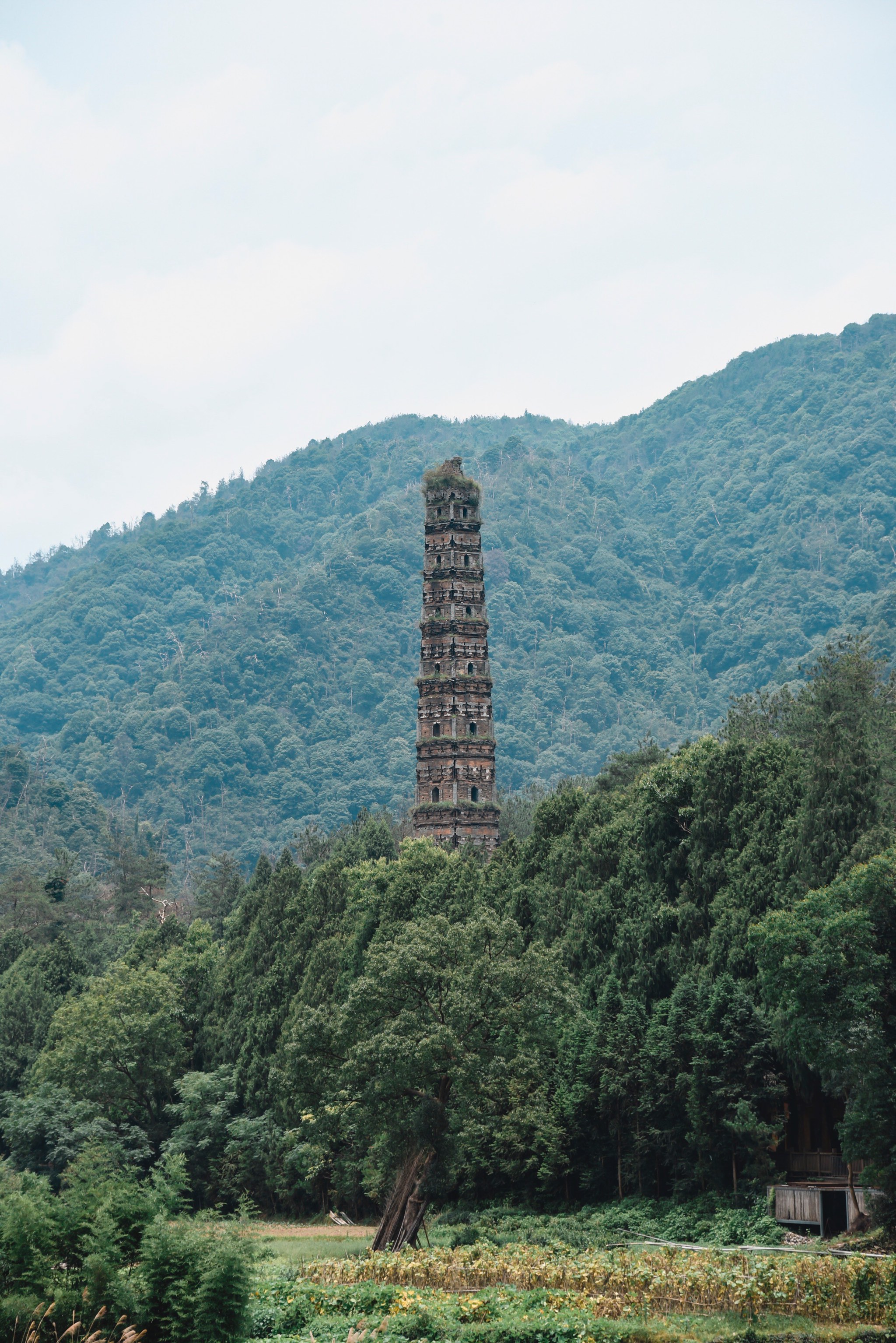 隋朝代表建筑图片