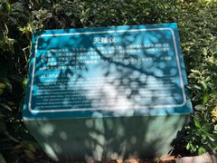 -紫金山天文台