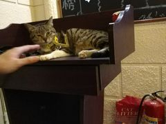 -逃脱反斗城沉浸剧情密室(北京路店)