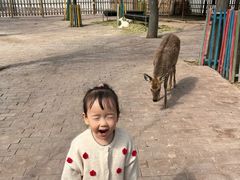 -水上乐园·欢乐世界