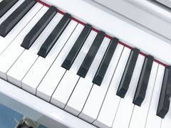 -皇家茱莉亚艺术明星训练基地