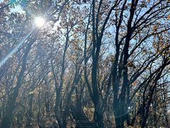 -帽儿山国家森林公园