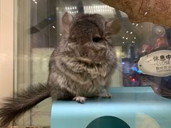 -龙猫仔乐园(惠福东路店)