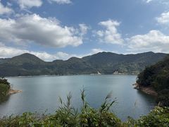 -海南热带雨林国家公园吊罗山景区