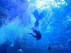 -华夏文旅海洋公园