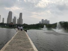 -前关湿地公园