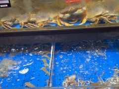 -炊江南·上海菜(国展华漕店)