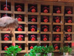 -泥糊破店小酒馆·团建聚餐(南京西路店)