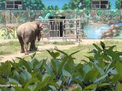 -西安秦岭野生动物园