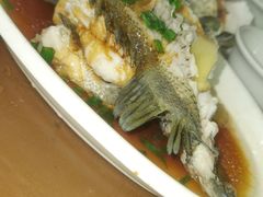 -鑫鸿达·海鲜闽菜热炒小馆(中山路店)