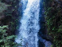 -马峦山郊野公园