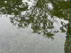-晓港公园