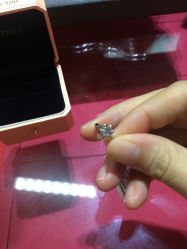 -Zbird钻石小鸟·钻戒婚戒定制高端珠宝私人定制中心