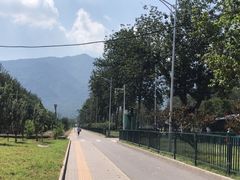 -阳台山自然风景区