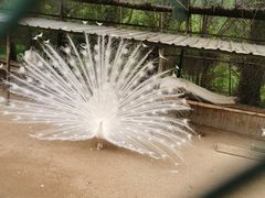 -秦皇岛野生动物园