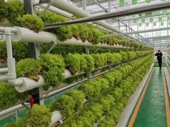 -兰陵国家农业公园