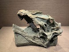 -自贡恐龙博物馆