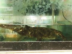 -大尔多超市(芒市店)