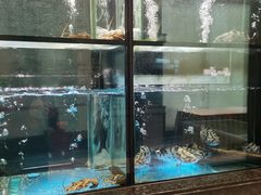 -海都六福酒家(世博广场店)