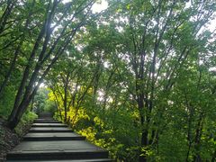 -帽儿山国家森林公园