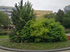 -常州古运河南大街文化旅游区-人民公园