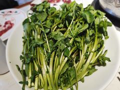 潮汕西洋菜-汕头八合里海记牛肉店(清河店)