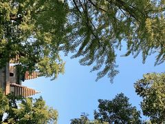 -北京石刻艺术博物馆(五塔寺)