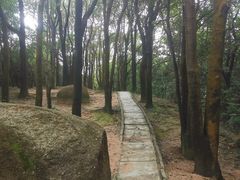 -火炉山森林公园