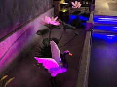 -韵秋荷(宝山龙湖天街店)