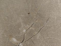 -IU酒店(广州白云站百信广场店)