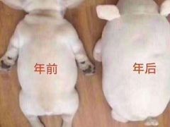 -成都凯宾斯基饭店