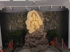 -亳州博物馆