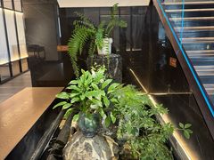 -连鹭海鲜·海肠捞饭·海胆饭(星海店)