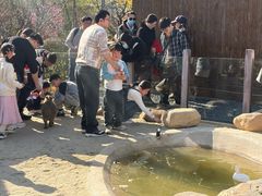 -茅山东方盐湖城景区