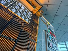 -郑州新郑国际机场-T2航站楼