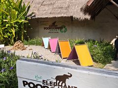 -大象粑粑造纸公园